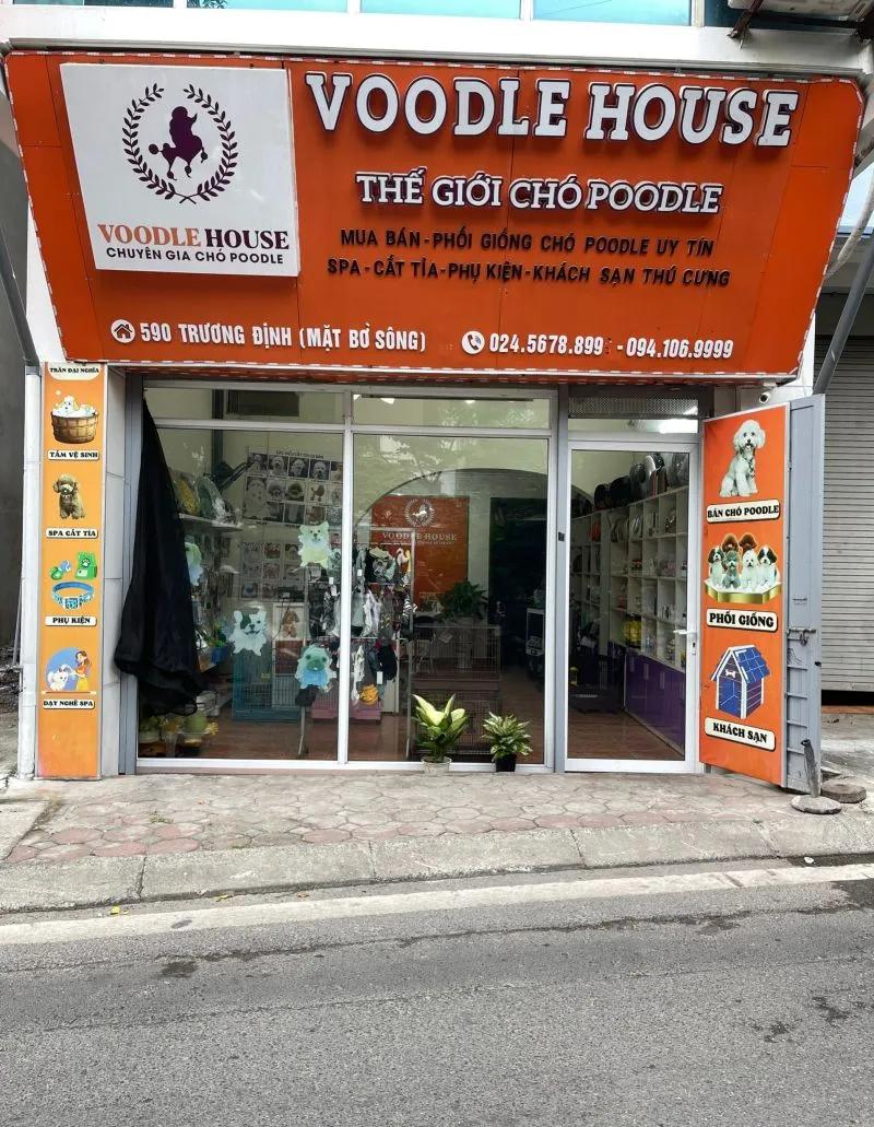 Top 7 cửa hàng uy tín cung cấp chó Poodle tại Hà Nội