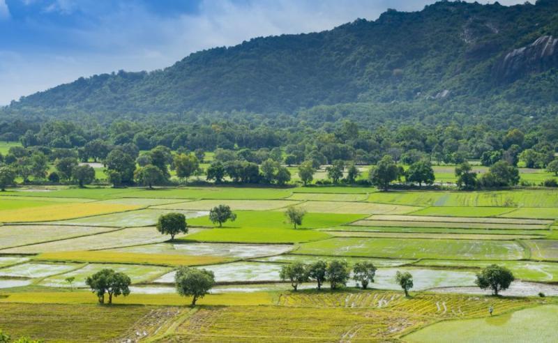 10 Bài thơ cảm động nhất viết về người nông dân Việt Nam