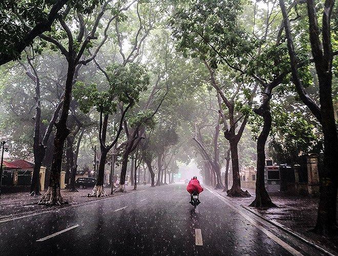 Top 10 Dàn ý bài văn miêu tả cơn mưa sinh động nhất