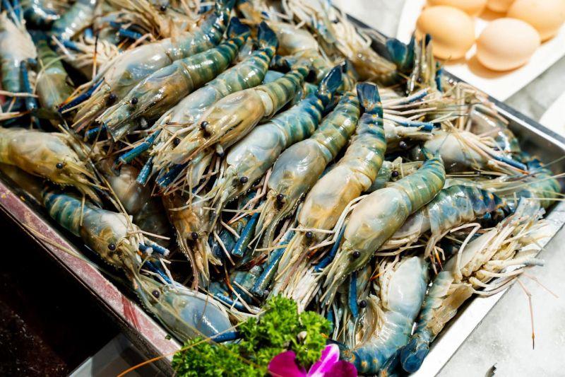 Top 4 Nhà Hàng Buffet Hải Sản Tuyệt Hảo Tại Ninh Thuận