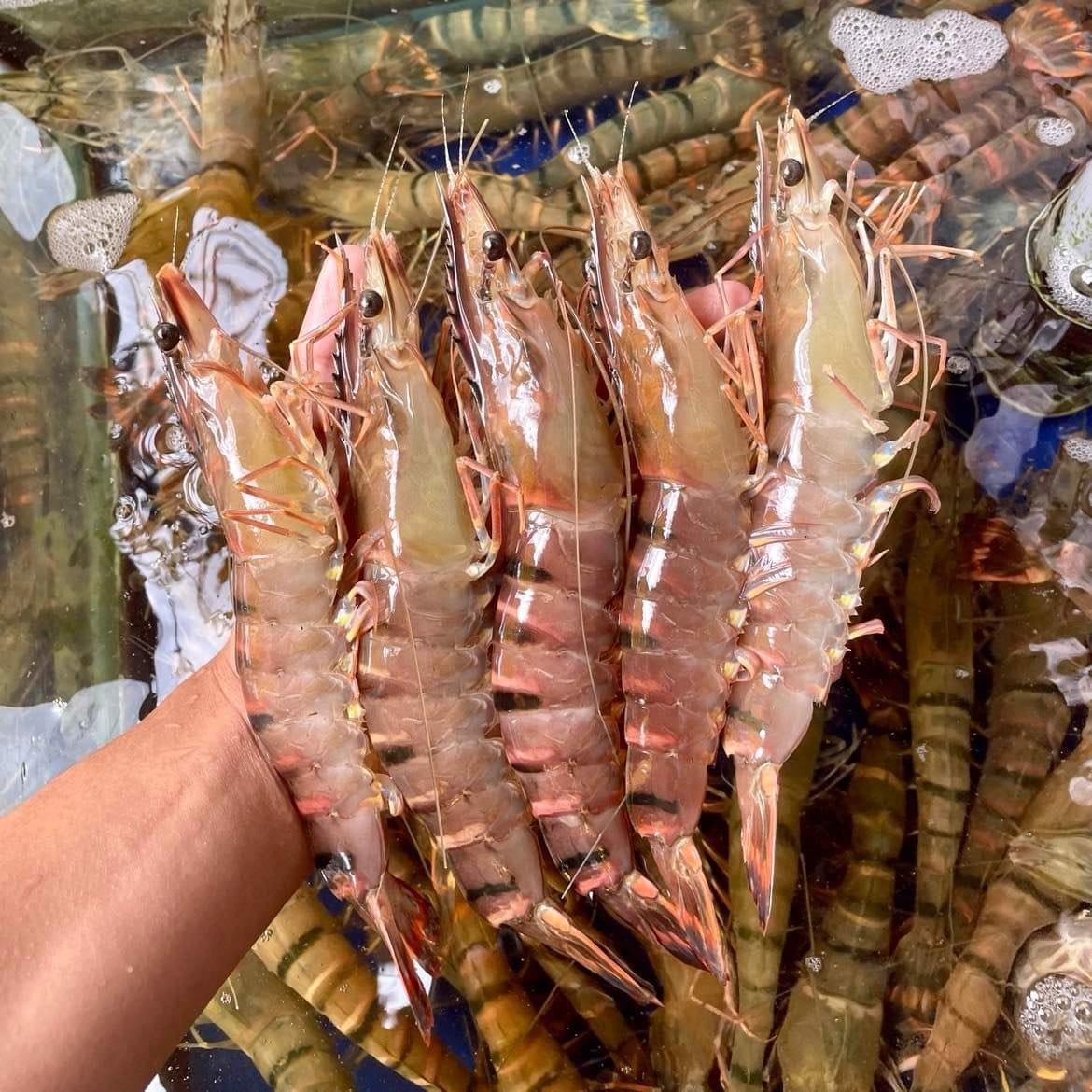 Khám phá 6 nhà hàng và quán ăn nổi bật nhất tại Chợ Mới, An Giang