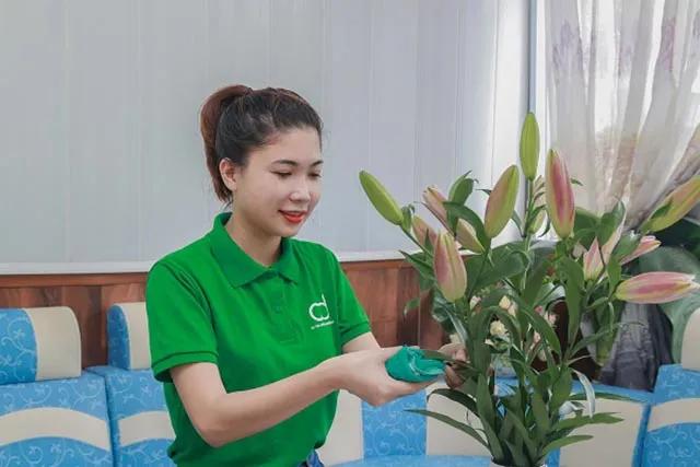 Top 10 Đơn Vị Giúp Việc Theo Giờ Tại Hà Nội: Chất Lượng Và Uy Tín Hàng Đầu