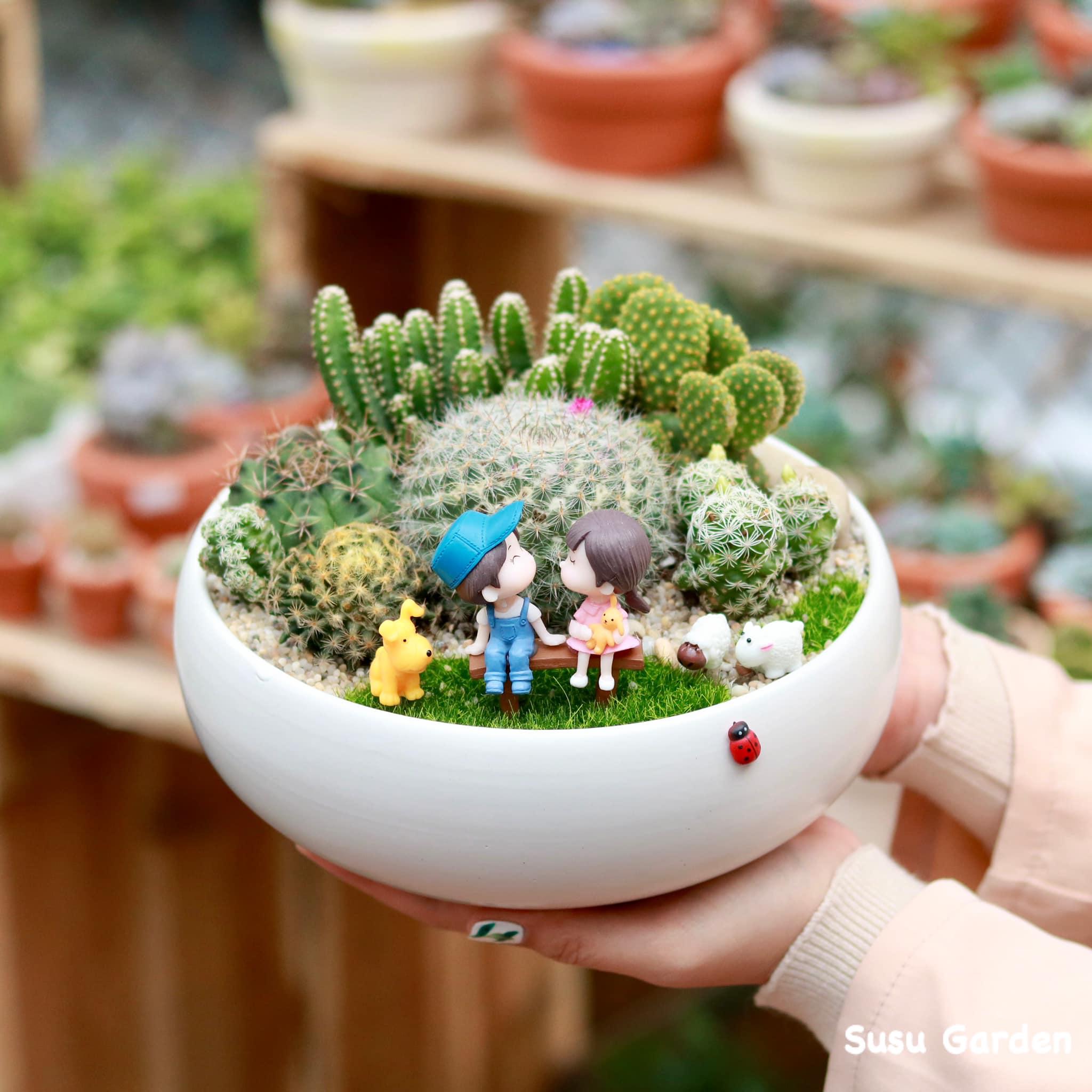 7 địa chỉ mua cây cảnh mini đẹp và uy tín nhất Hà Nội