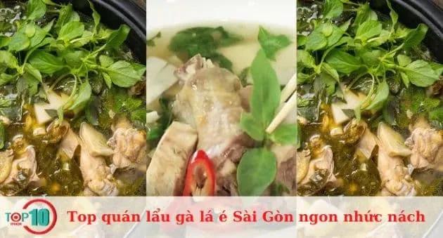 15 địa chỉ lẩu gà lá é ngon trứ danh tại Sài Gòn - thơm nức mũi, đậm đà khó quên