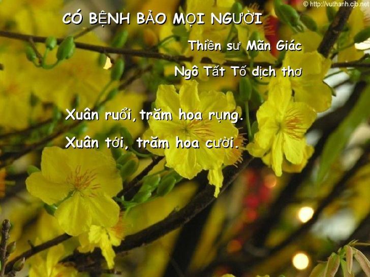 10 Áng văn mẫu phân tích kiệt tác "Cáo bệnh, bảo mọi người" của Mãn Giác Thiền Sư