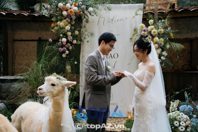 Top 10 địa chỉ trang trí tiệc cưới Đà Lạt đẹp ngỡ ngàng - Đừng bỏ qua cơ hội trải nghiệm