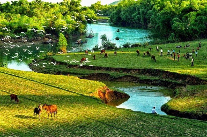 10 Bài phân tích xuất sắc nhất về thi phẩm "Quy hứng" (Hứng trở về) - Kiệt tác của Nguyễn Trung Ngạn