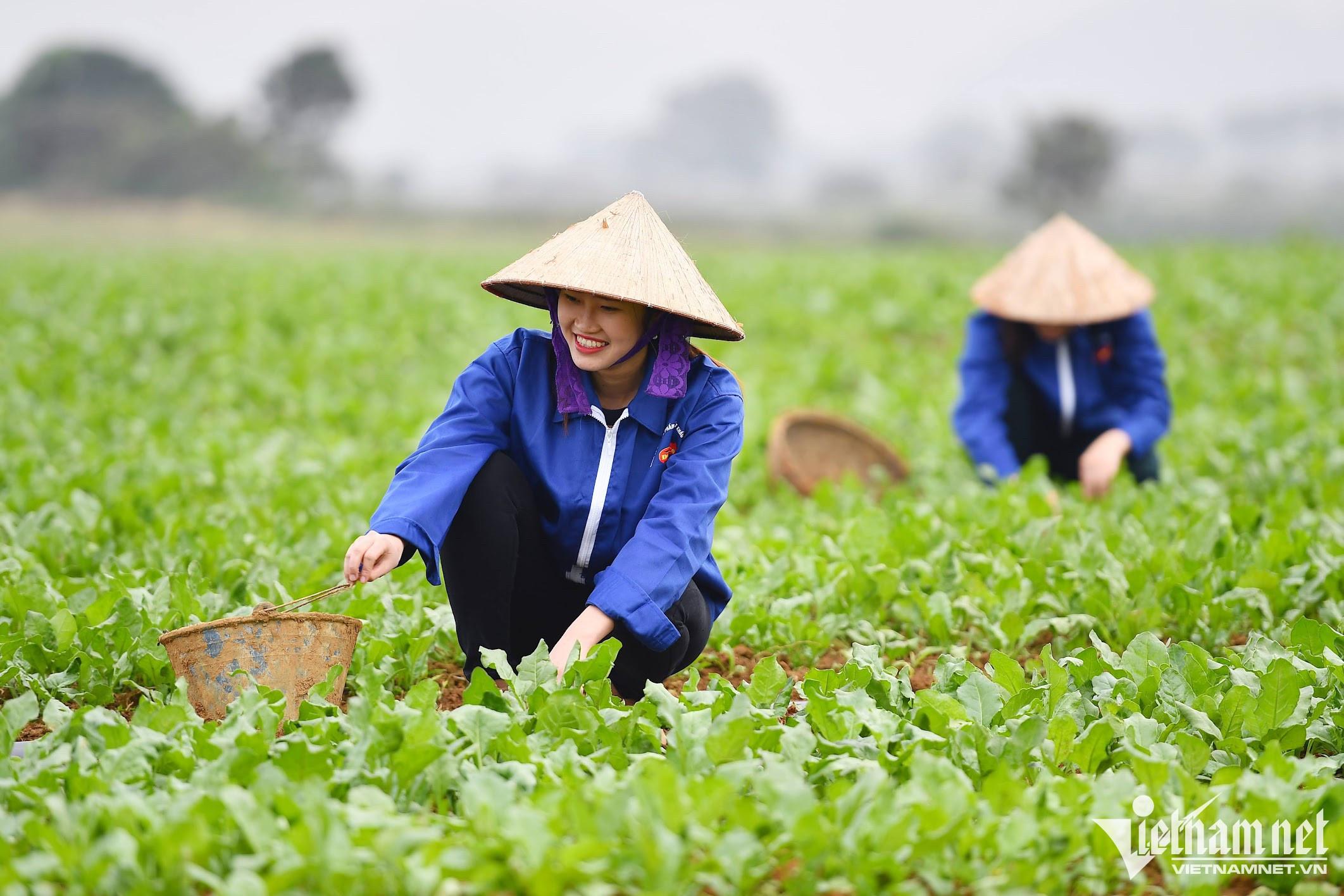 Top 10 Bài mẫu ấn tượng viết về nghề nghiệp bố mẹ bằng tiếng Anh xuất sắc nhất