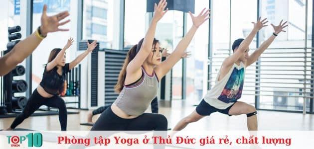Top 8 phòng tập Yoga chất lượng và uy tín tại Thủ Đức