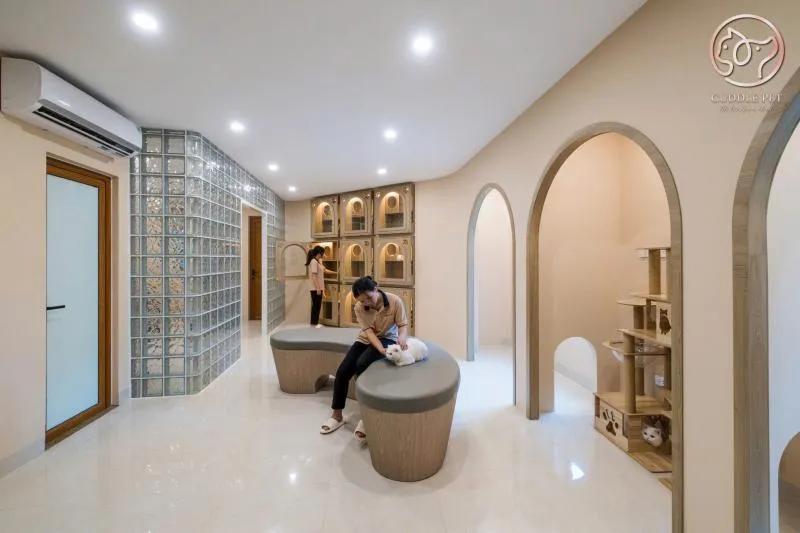 Khám phá Top 5 đánh giá về Cuddle Pet - Thiên đường spa thú cưng đẳng cấp nhất Hà Nội