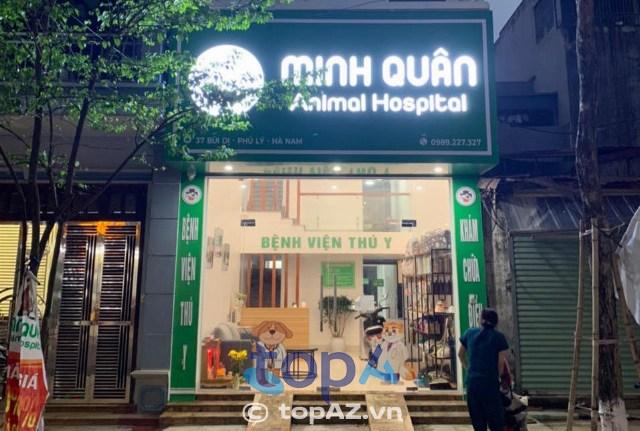 5 Phòng khám thú y tại Hà Nam đáng tin cậy hàng đầu