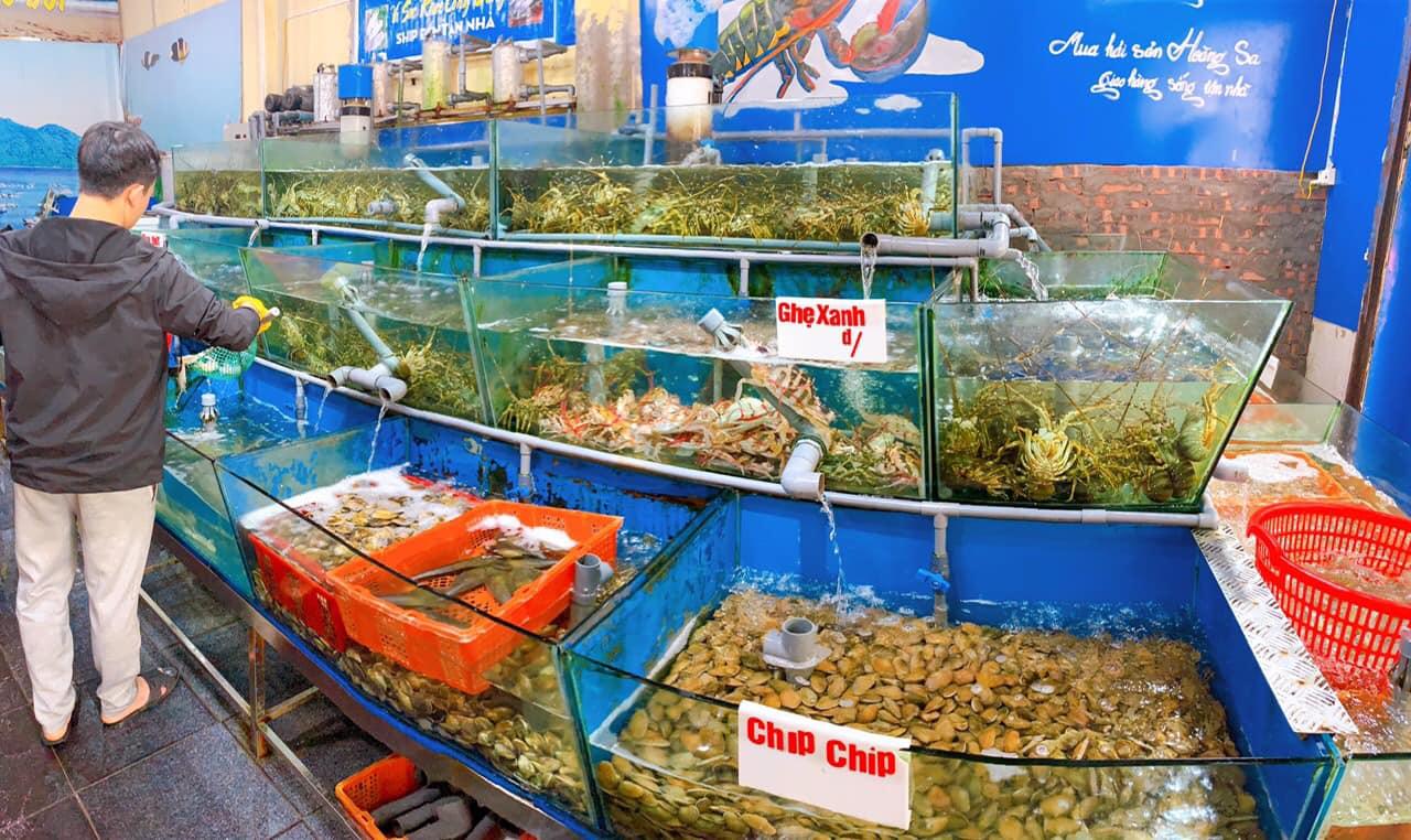 Top 7 địa chỉ cung cấp hải sản tươi sống đáng tin cậy nhất tại Nghệ An