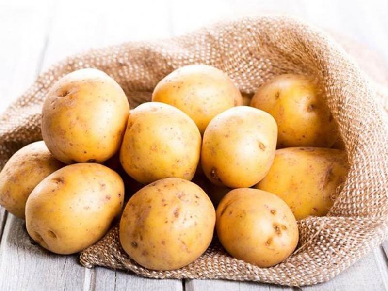 16 Món ăn Dặm Vàng Cho Bé - Dinh Dưỡng Tối Ưu Cho Giai Đoạn Vàng