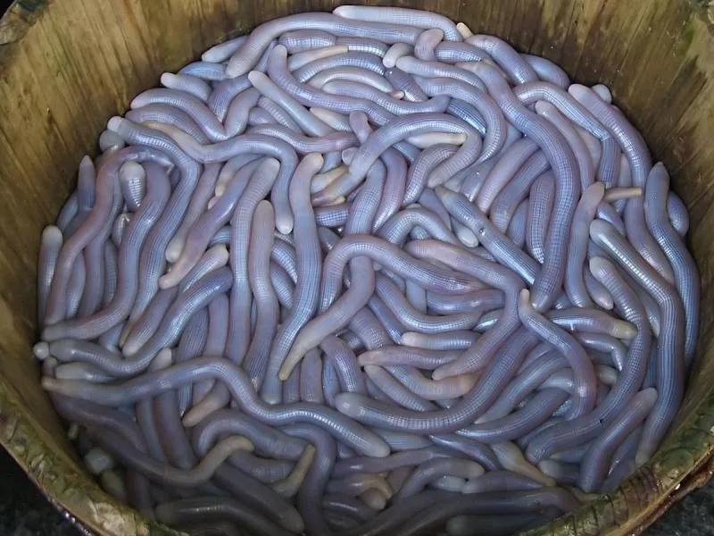 Top 5 kinh nghiệm tham quan chùa Ba Vàng và những điều cần lưu ý quan trọng