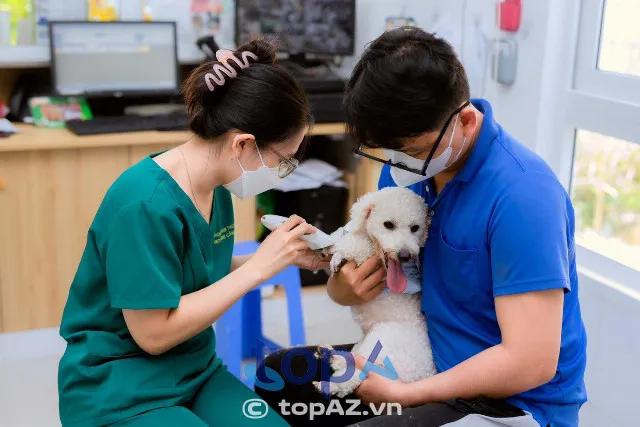 Top 7 phòng khám thú y uy tín tại Cần Thơ với đội ngũ bác sĩ giỏi và dịch vụ chuyên nghiệp