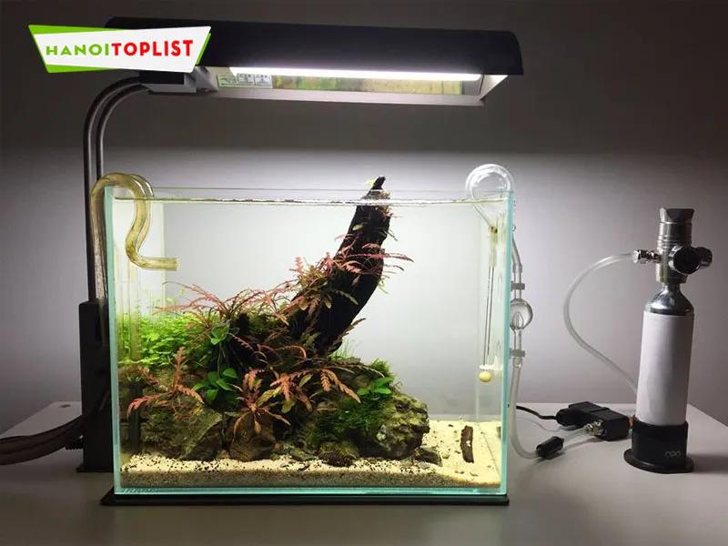5+ Địa điểm nạp khí CO2 thủy sinh uy tín tại Hà Nội - Tiện lợi, nhanh chóng