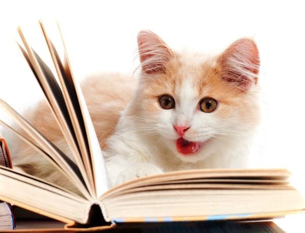 10 Lợi ích kỳ diệu của thói quen đọc sách hàng ngày