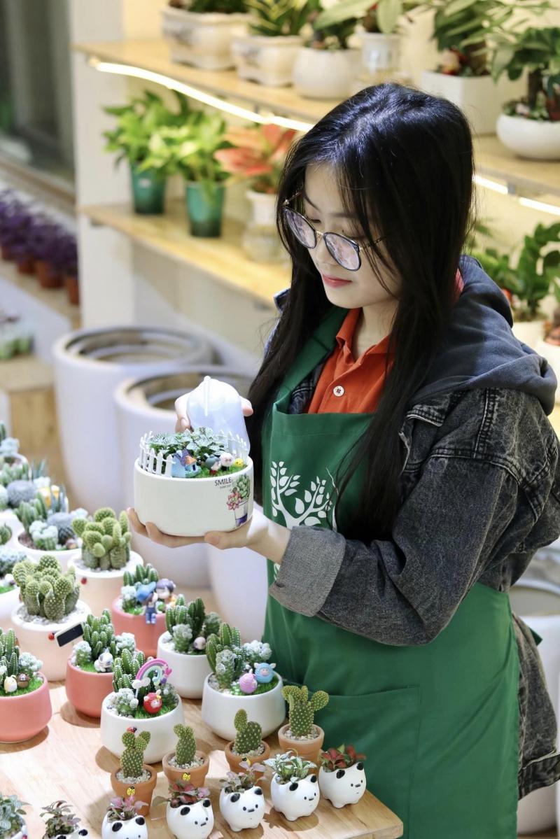 7 địa điểm bán cây cảnh mini và cây để bàn đẹp nhất tại Hà Nội