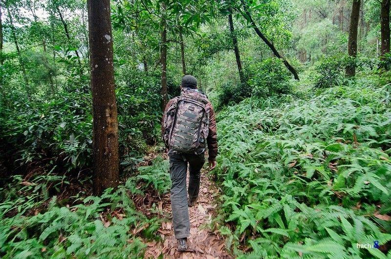 10 Kỹ Năng Sinh Tồn Khi Khám Phá Rừng Rậm