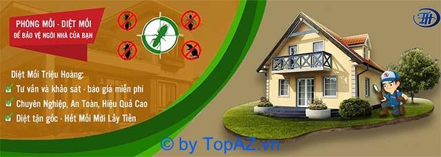 Top 5 công ty diệt mối nhà xưởng uy tín tại TPHCM