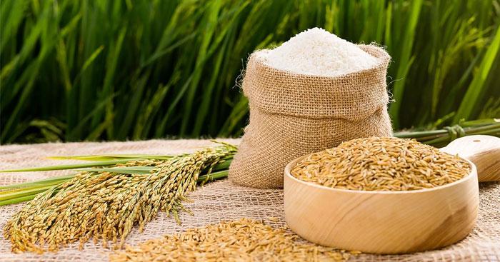 6 Bài soạn ấn tượng nhất về "Lễ cúng thần lúa của người Chơ-ro" (Ngữ văn 6 - SGK Chân trời sáng tạo)