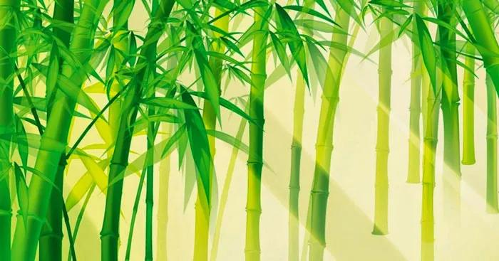 15 đoạn văn cảm nhận sâu sắc nhất về biểu tượng cây tre trong tác phẩm 'Cây tre Việt Nam' (Ngữ văn 6 - SGK Kết nối tri thức)