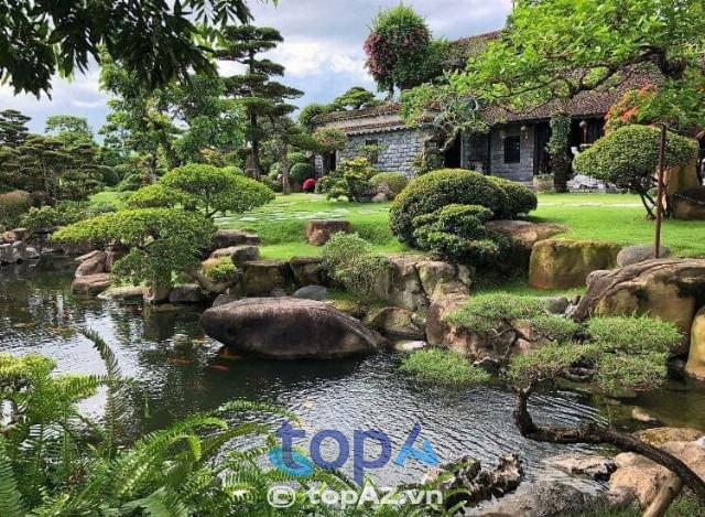 Top 5 đơn vị cung cấp cây xanh tại Hà Nội đạt chuẩn uy tín và chuyên nghiệp