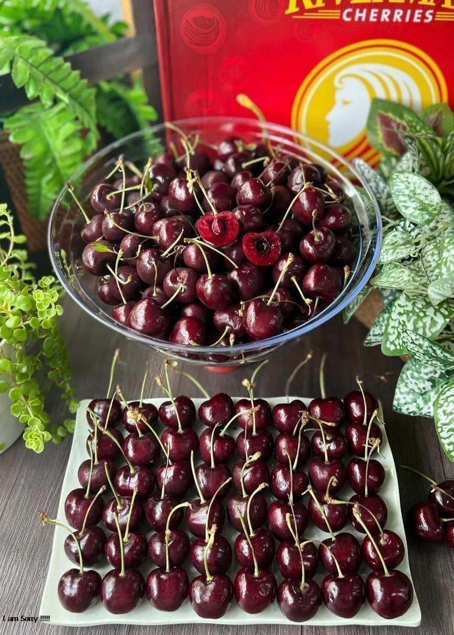 Top 6 địa chỉ mua trái cây sạch đáng tin cậy nhất tại Bắc Giang