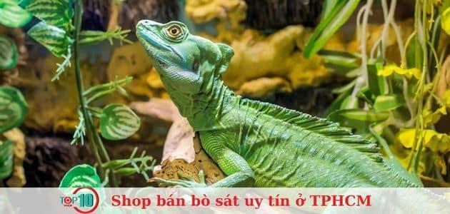 Top 10+ cửa hàng bò sát tại TP.HCM: Địa chỉ uy tín, đa dạng với giá cả phải chăng