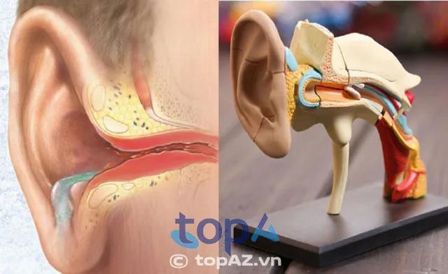 10 chuyên gia hàng đầu điều trị viêm tai giữa uy tín nhất Hà Nội
