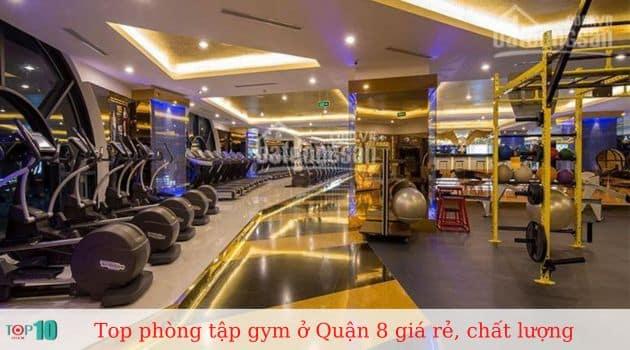 10 địa điểm tập gym Quận 8 đáng trải nghiệm: Chất lượng chuẩn, giá thành hợp lý, dịch vụ đẳng cấp