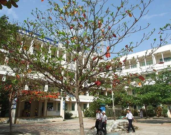 Top 5 Loài cây đáng nhớ trong ký ức học trò