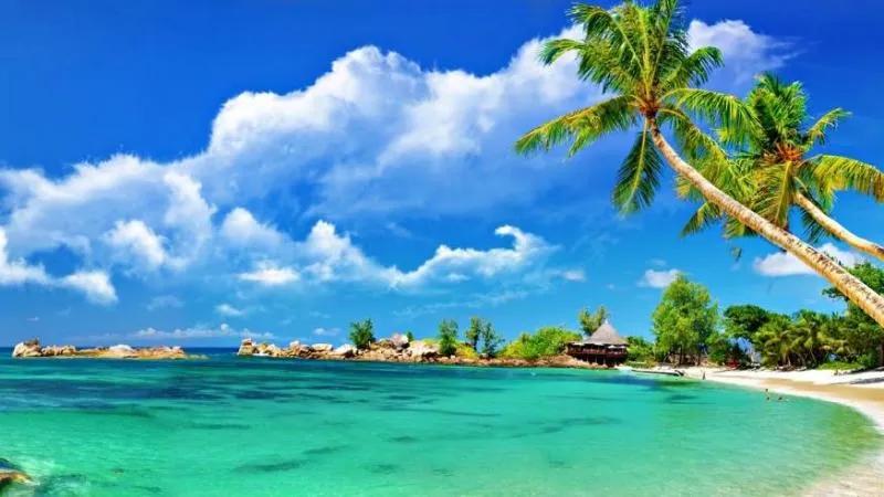 8 lý do vàng để đầu tư vào condotel Vingroup - Cơ hội sinh lời đầy hứa hẹn