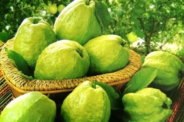 18 Bí Quyết Dân Gian Chữa Bệnh Thông Thường Ai Cũng Nên Biết