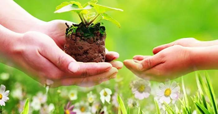 Top 19 đoạn văn và bài văn xuất sắc về chủ đề: Sự đồng cảm – sức mạnh kết nối vẻ đẹp của thế giới (Ngữ văn 10 - SGK Kết nối tri thức)