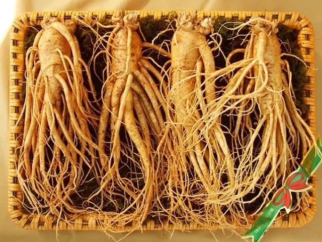 12 Món Quà Tâm Linh Dành Tặng Bậc Lão Niên - Gửi Trọn Yêu Thương
