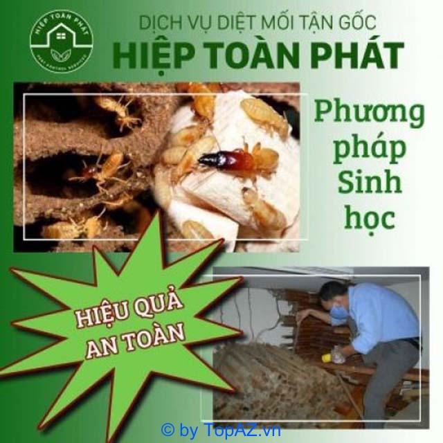 5 đơn vị diệt mối uy tín tại Gò Vấp - chất lượng cao, giá cả phải chăng