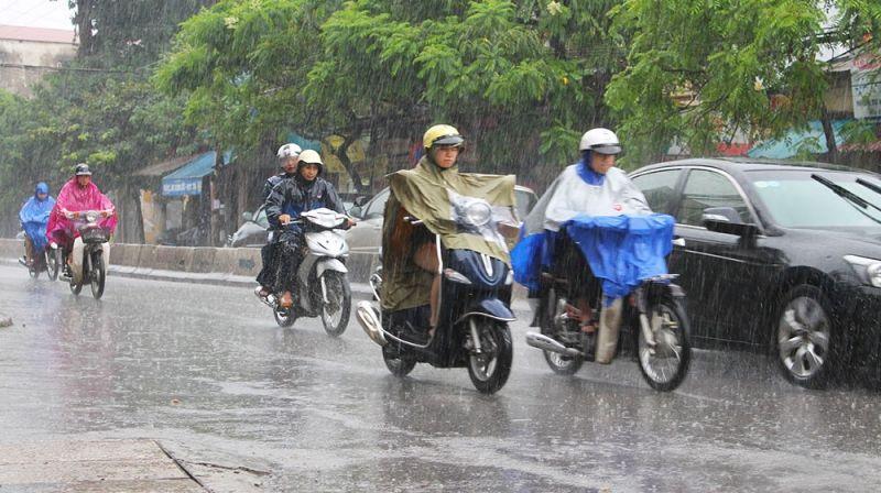 10 Lưu ý Vàng Để Lái Xe An Toàn Trong Mùa Mưa Bão