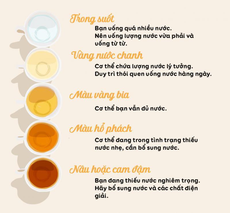 9 Điều cốt lõi cần biết trước khi xét nghiệm nước tiểu