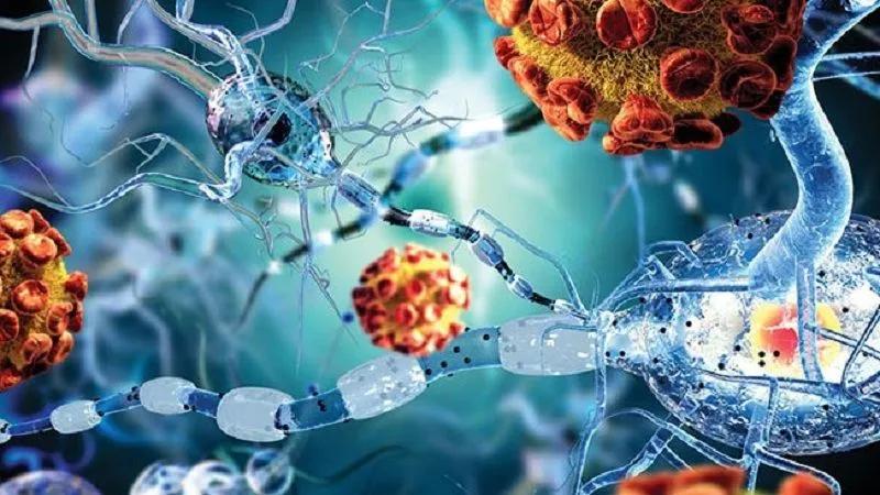 5 Công dụng nổi bật và những lưu ý quan trọng khi sử dụng Canesten
