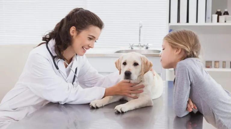 8 địa chỉ phòng khám thú y chất lượng và nổi bật nhất tại Hà Nội