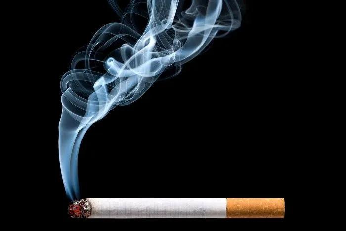 7 Công dụng nổi bật và hướng dẫn liều lượng chuẩn xác cho Fudnostra