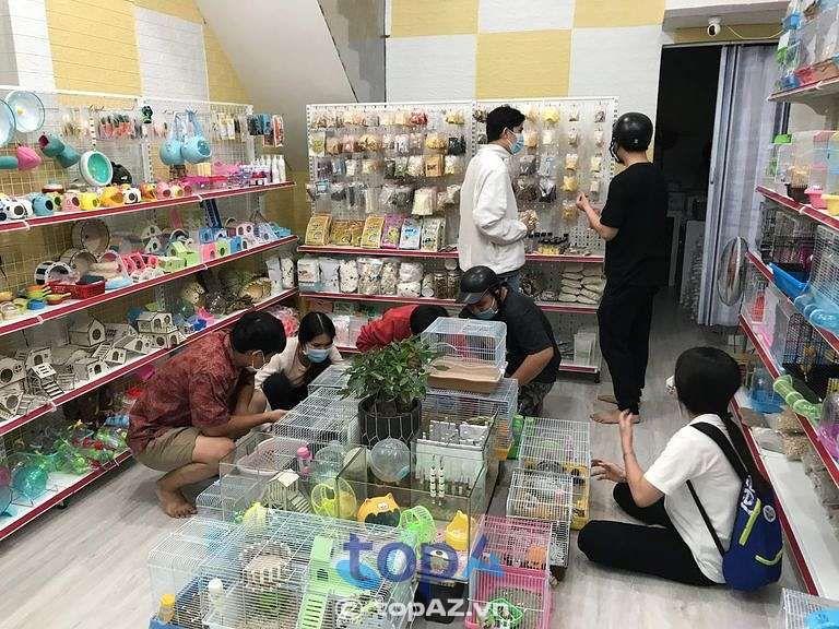5 Địa điểm mua phụ kiện thú cưng chất lượng nhất Dĩ An - Giá cả phải chăng, uy tín hàng đầu