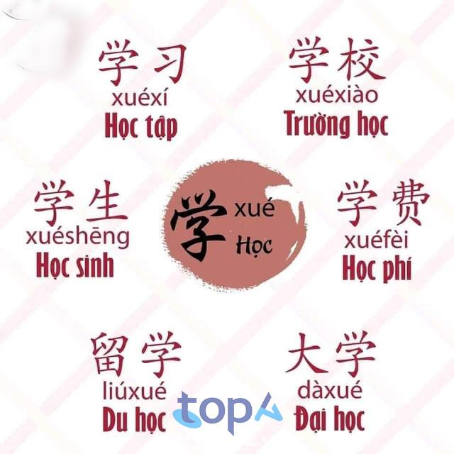 Top 5 trung tâm học tiếng Trung uy tín tại Bình Dương