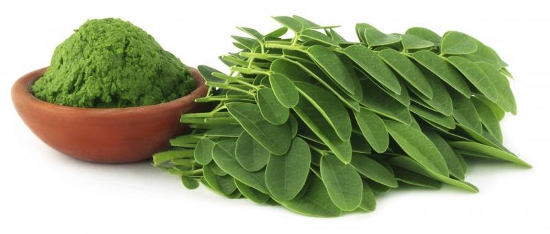 Khám phá 8 công dụng tuyệt vời của chùm ngây và những điều cần lưu ý