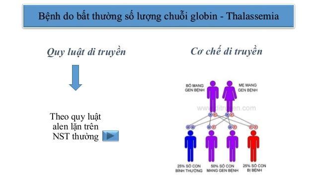 10 Nguyên Nhân Hàng Đầu Gây Thoát Vị Đĩa Đệm Ai Cũng Nên Biết