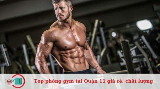10 địa điểm gym Quận 11 đáng cân nhắc: Chi phí hợp lý, chất lượng đảm bảo, dịch vụ chuẩn 5 sao