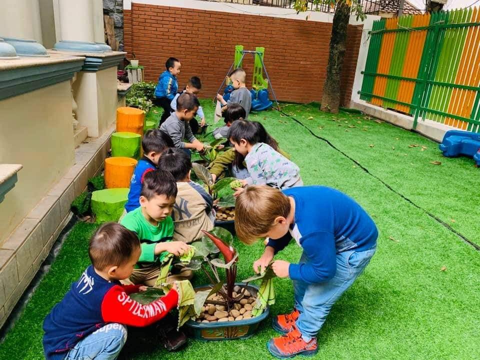 Danh sách 10 ngôi trường mầm non tư thục chất lượng nhất tại quận Ba Đình, Hà Nội