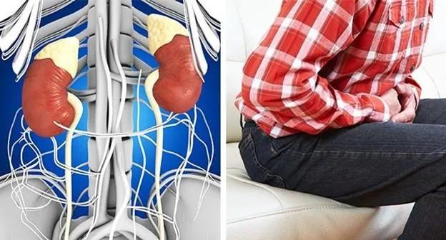 Khám Phá 8 Sự Thật Về Cơ Thể Nam Giới Mà Bạn Có Thể Chưa Biết