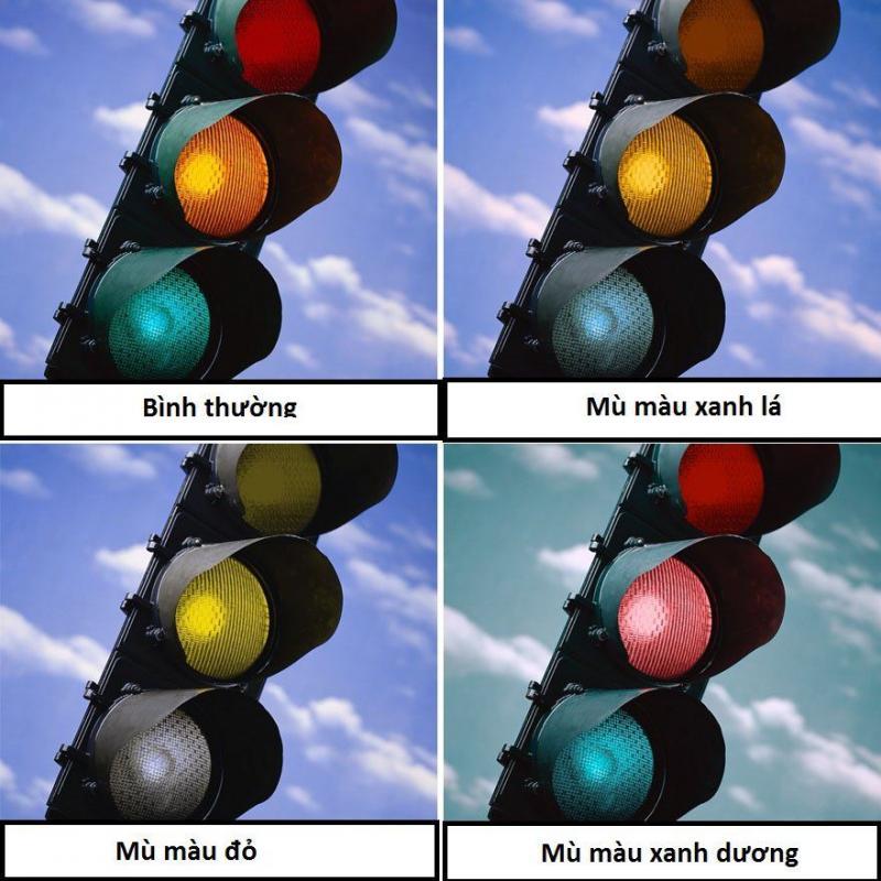 8 Điểm cốt lõi cần nhớ về bệnh mù màu